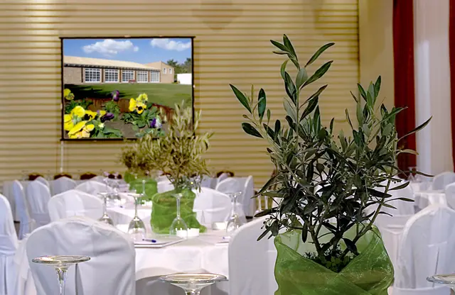 Reception hall decorated with olive trees
