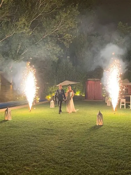 Fireworks in the garden at night
